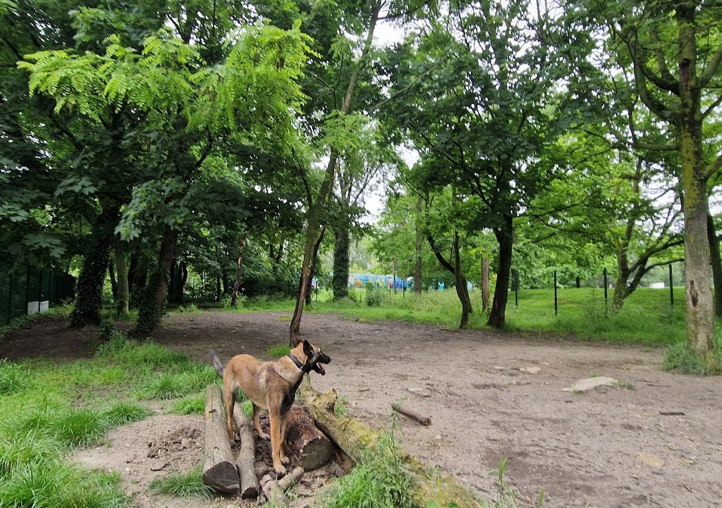 Parc canin 3